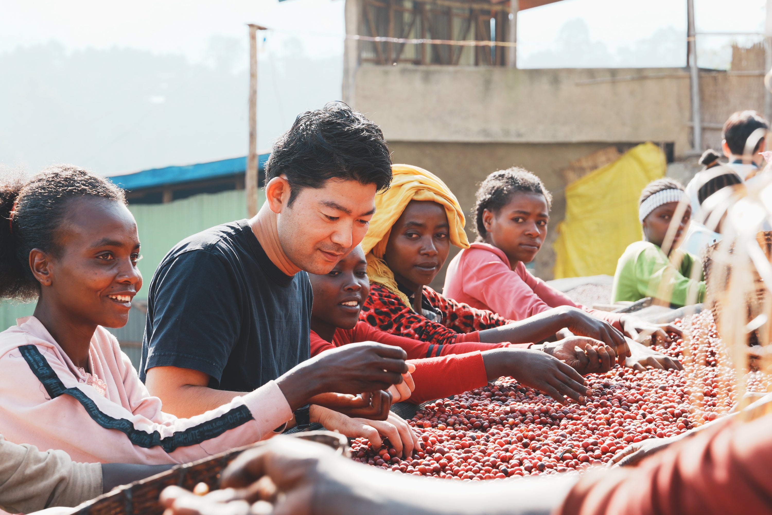 A7C00979.jpg?v=1707291151