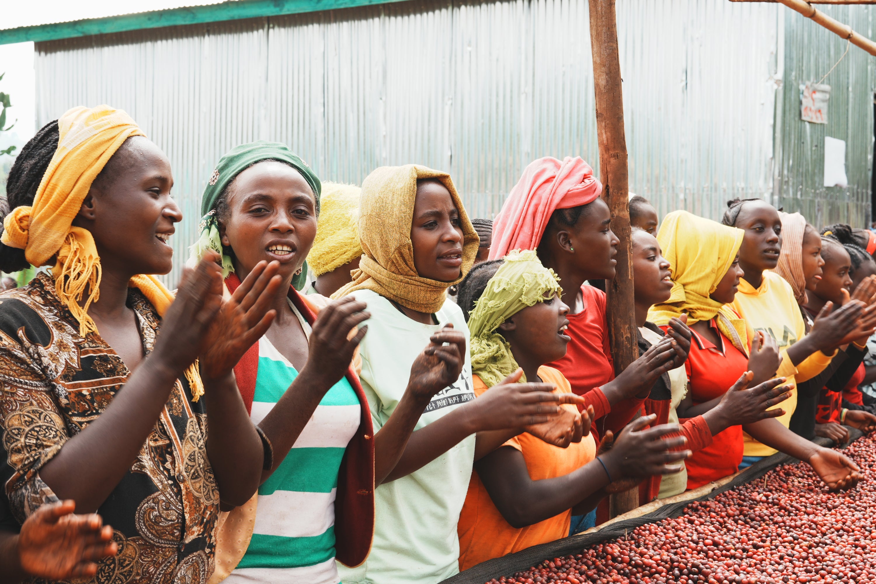 エチオピアの生産者にみんなの声を届けよう！ – REC COFFEE