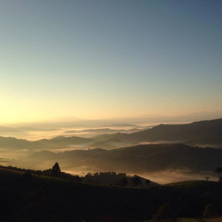 8月からの新商品