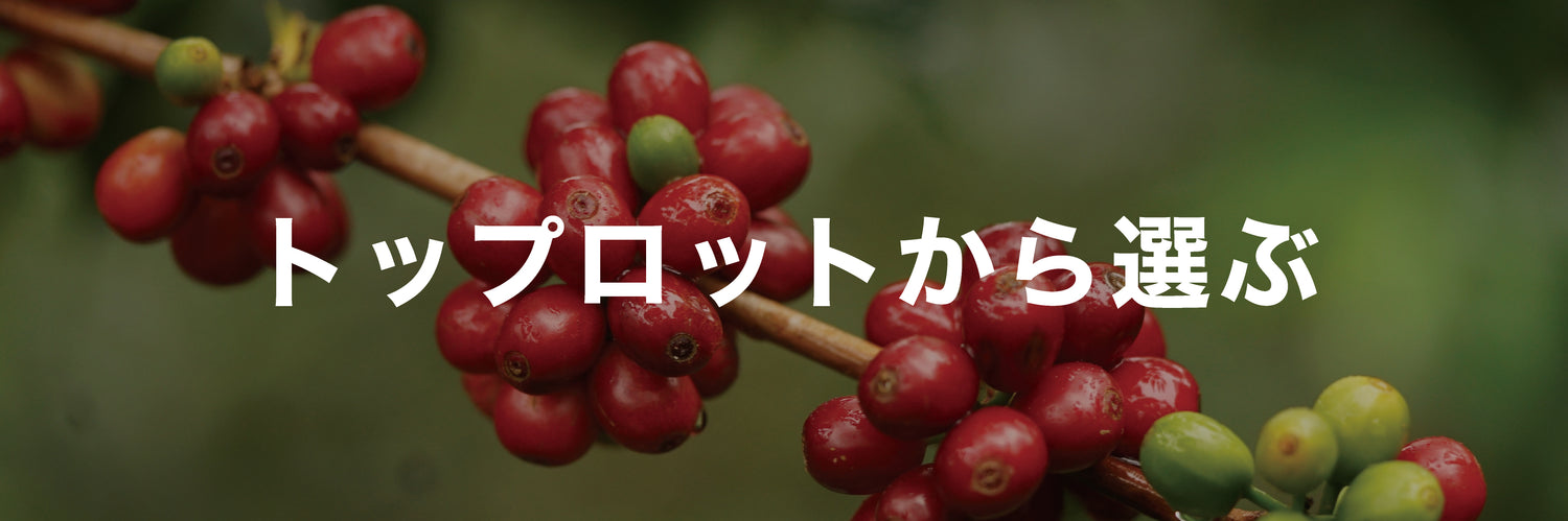 スペシャルリミテッドセレクション