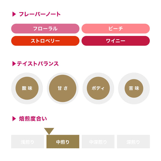 アーデント デンビ #2 アナエロビック / エチオピア