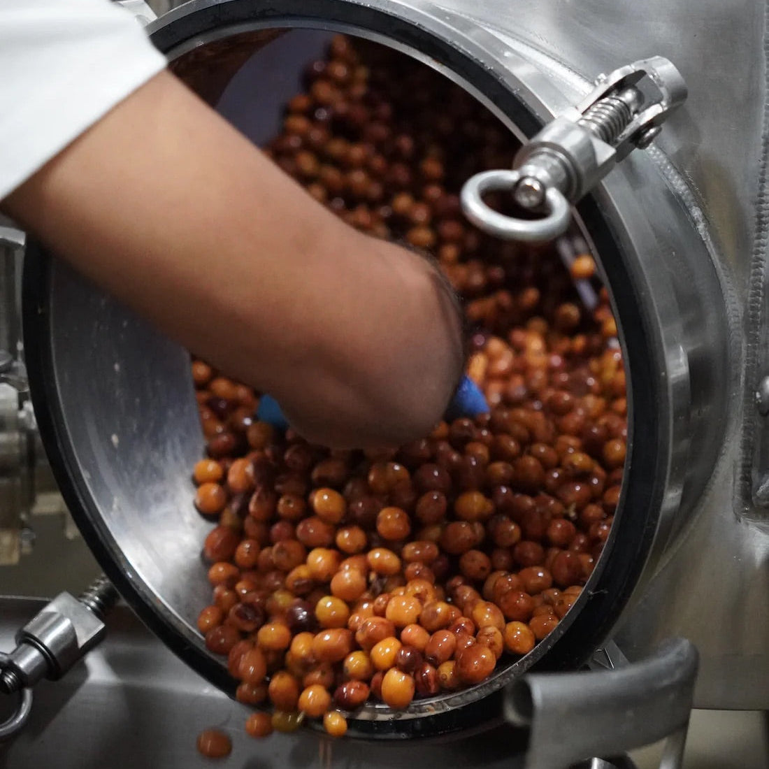 ロストオリジン ドン・ベンジー #186 ディパルプド / パナマ