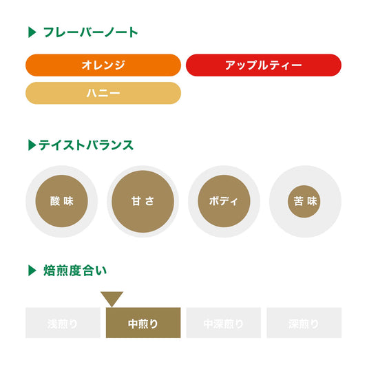 コーヒーバッグ  ホリデーブレンド