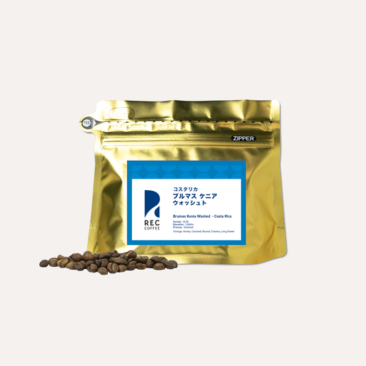 ブルマス ケニア ウォッシュト / コスタリカ