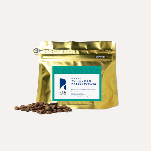 フィンカ・ロスマ アナエロビック ナチュラル / グアテマラ