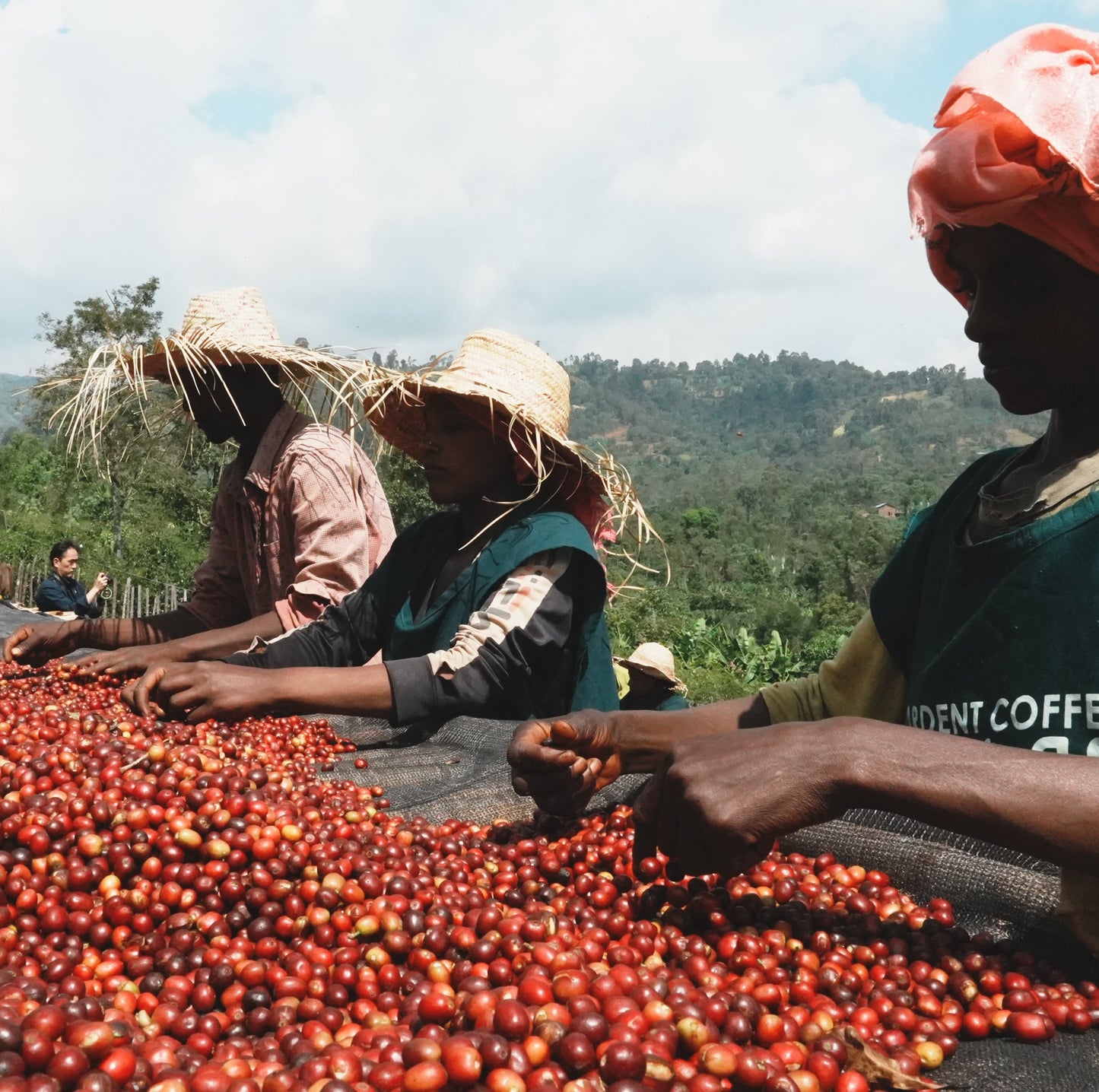 ARDENT Shanta Golba 聯名 / 衣索比亞