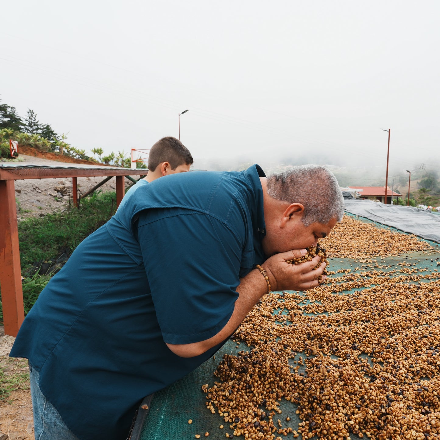 ブルマス ティピカ ナチュラル / コスタリカ