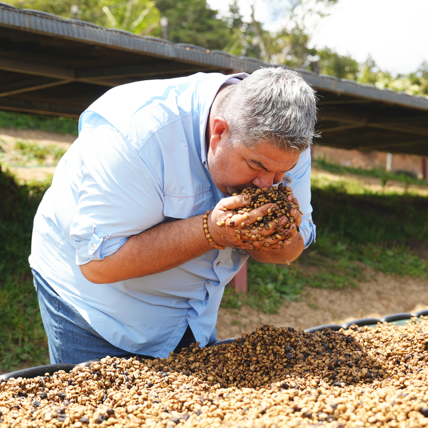 ブルマス ゲイシャ アップル アナエロビック / コスタリカ