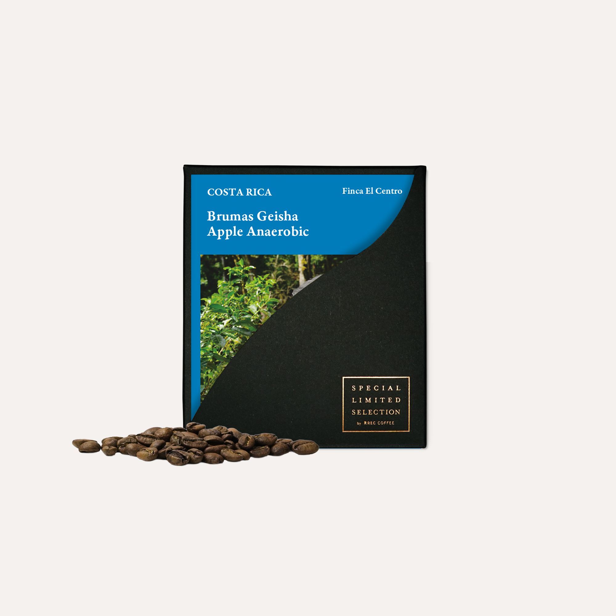 ブルマス ゲイシャ アップル アナエロビック / コスタリカ | コーヒー