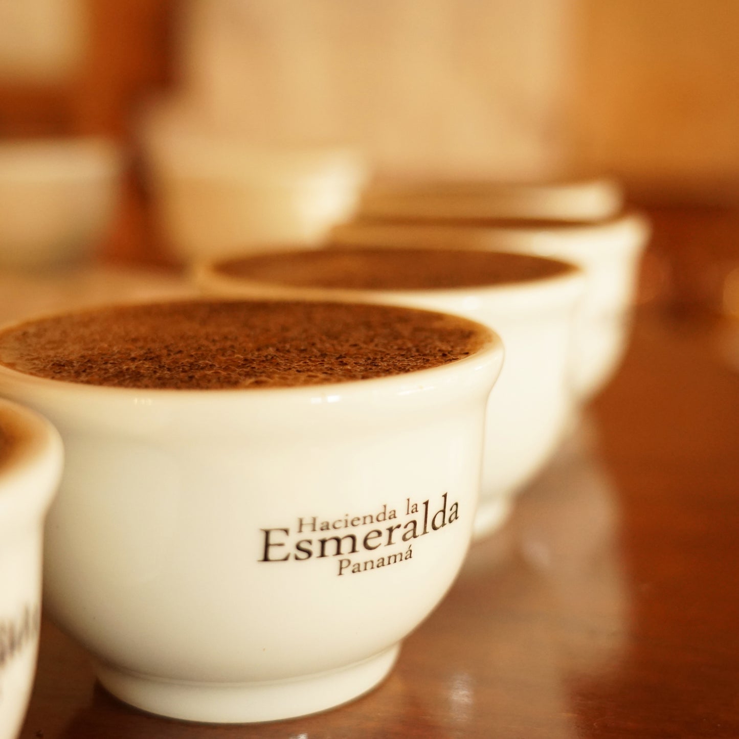 エスメラルダ ゲイシャ マリオ・アリバ FB ウォッシュト / パナマ