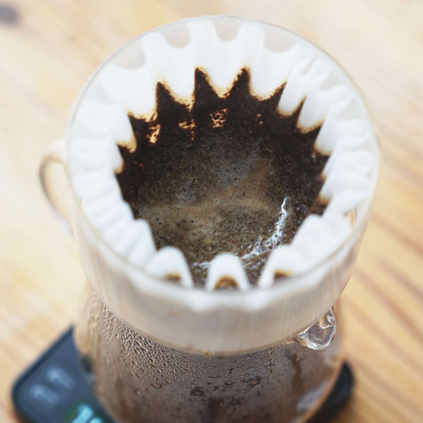 SIMPLIFY the Brewer / BATHTUB COFFEE