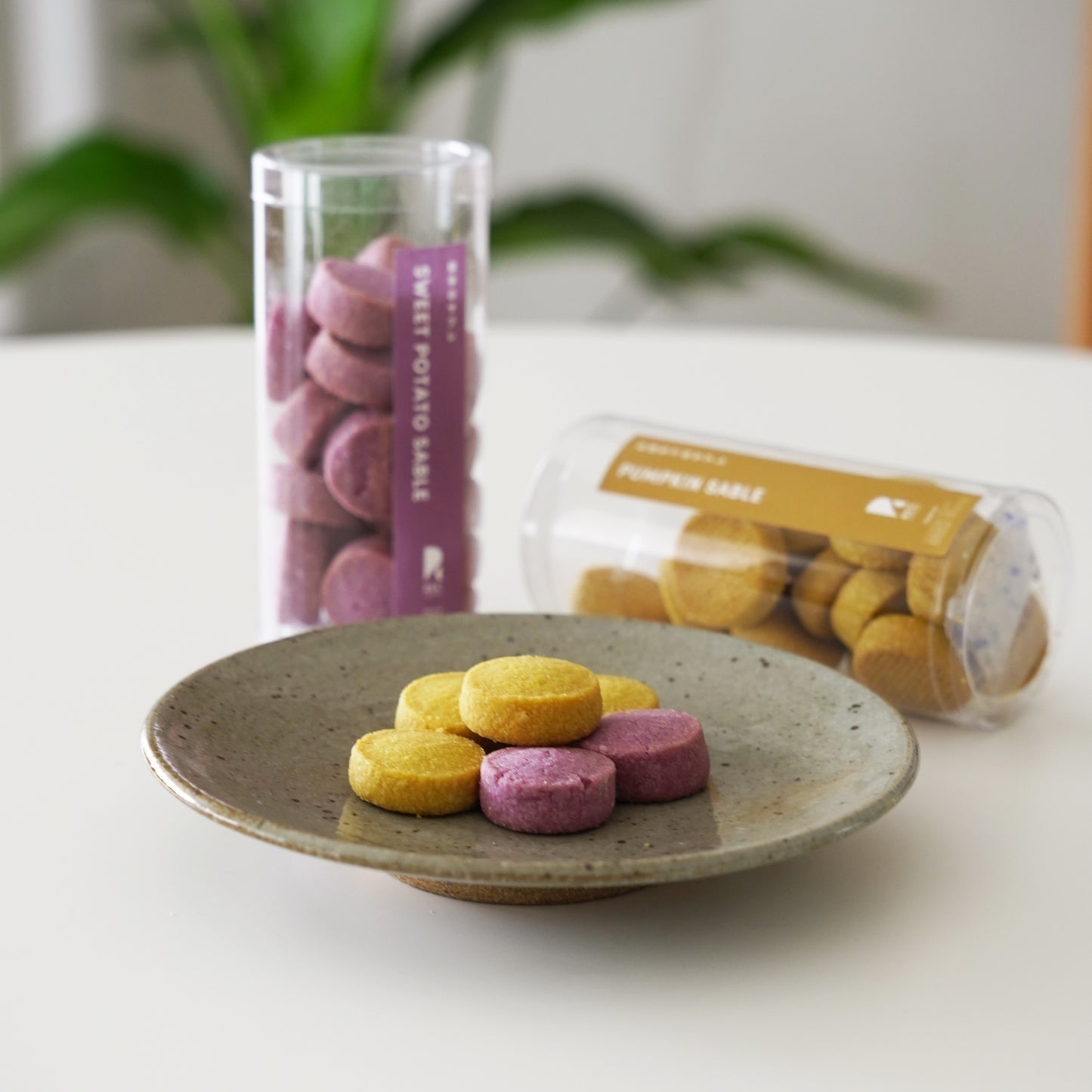 秋のコーヒーバッグと焼菓子2種のギフト