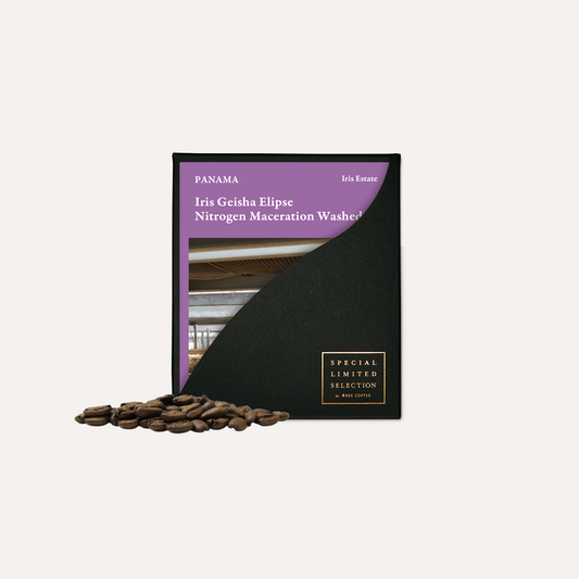 【3日間限定】アイリス ゲイシャ エリプス ナイトロジェン マセレーション ウォッシュト / パナマ
