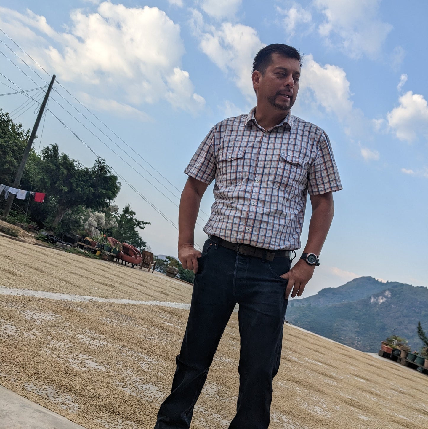 ロス・ススピロス ウォッシュト / グアテマラ