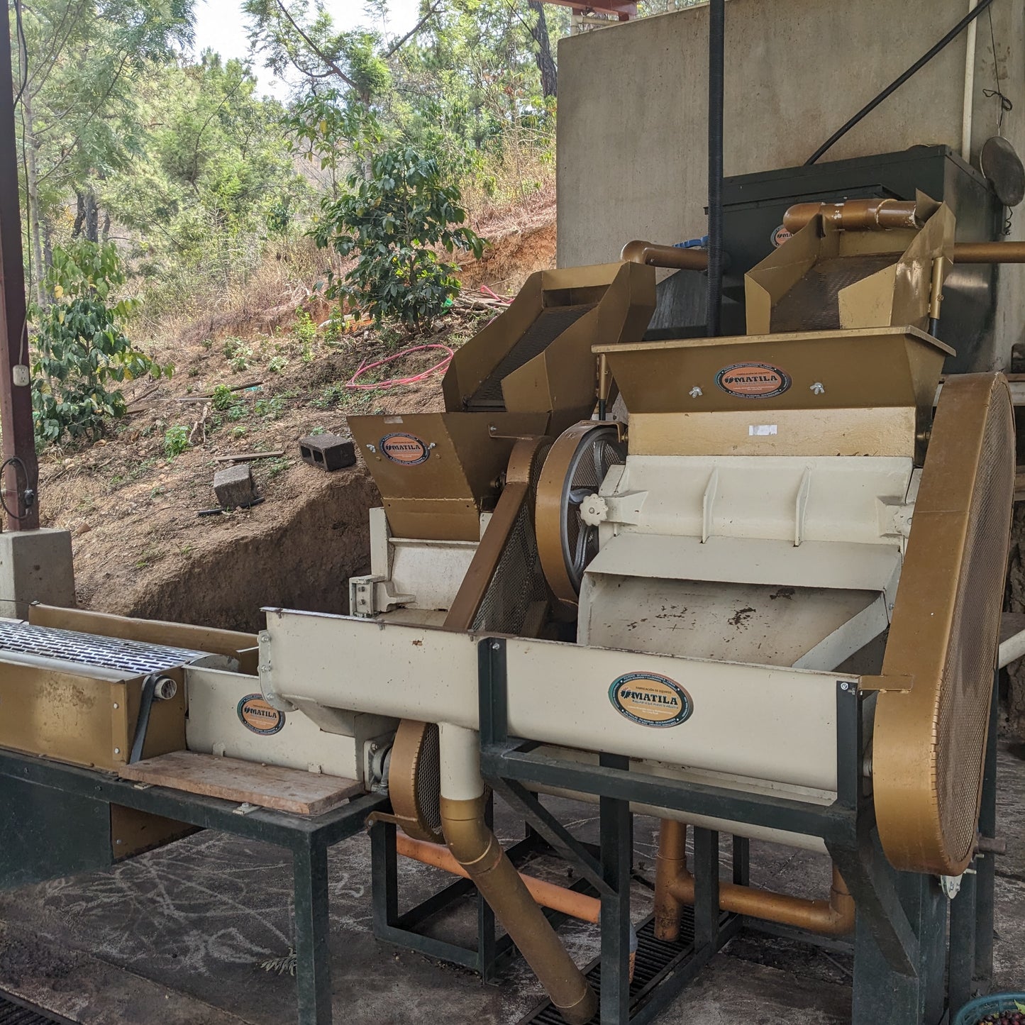 ロス・ススピロス ウォッシュト / グアテマラ