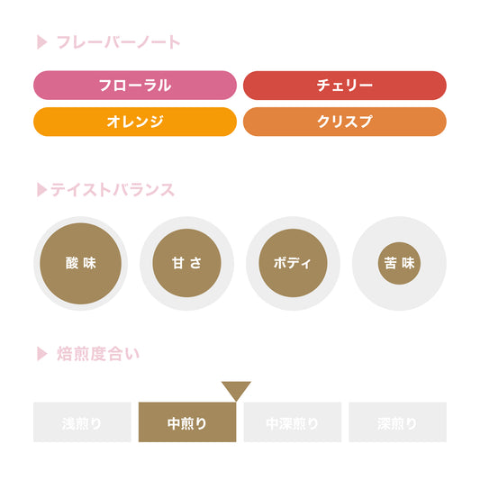 【まとめ買い】コーヒーバッグ スプリングブレンド