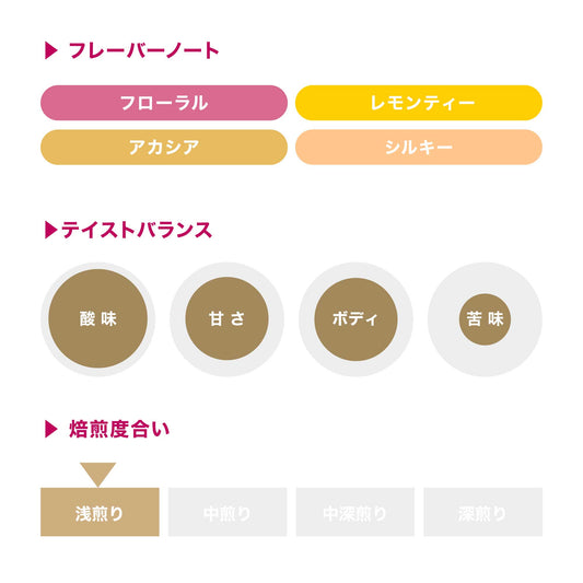 アーデント イディド ウォッシュト / エチオピア