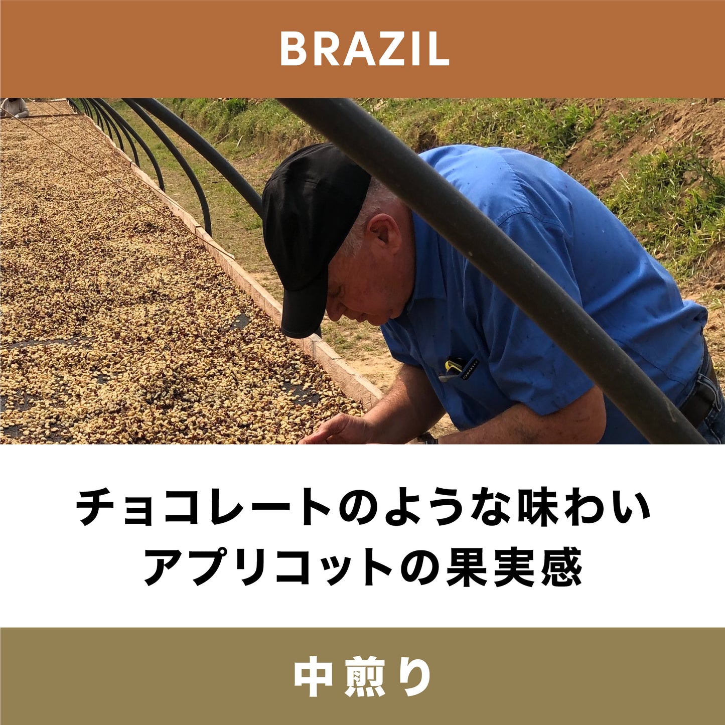 カルモ・エステート・ボーレム / ブラジル