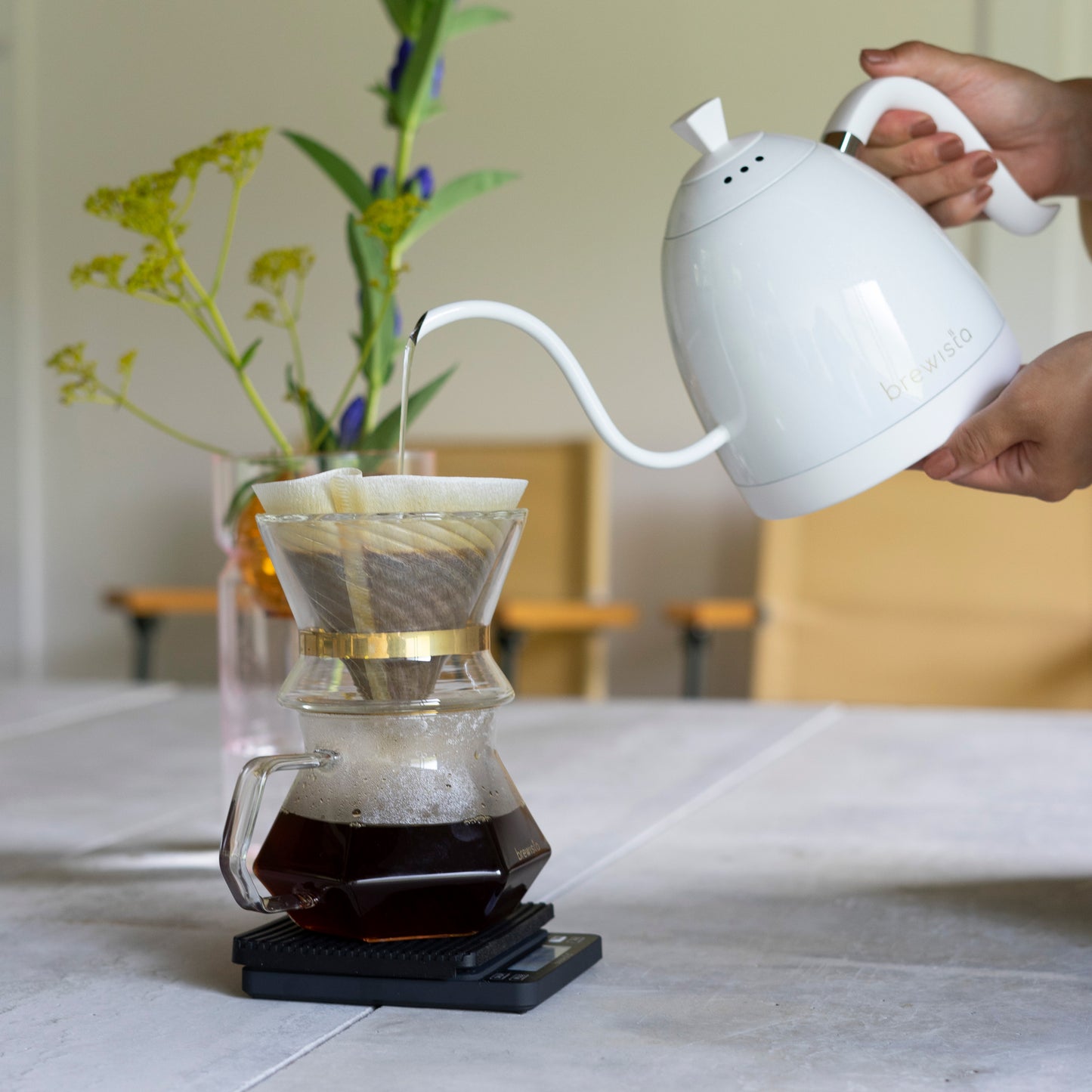 アルティザングースネックバリアブルケトル / Brewista