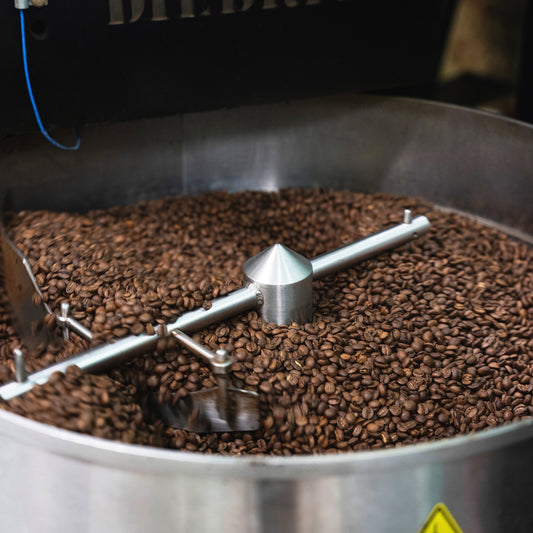 コーヒーバッグ 博多ブレンド