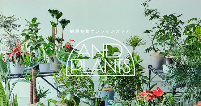 【掲載情報】AND PLANTS