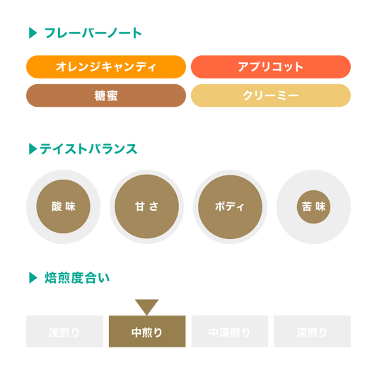 【もうすぐ終売】フィンカ・ロスマ パライネマ ナチュラル / グアテマラ