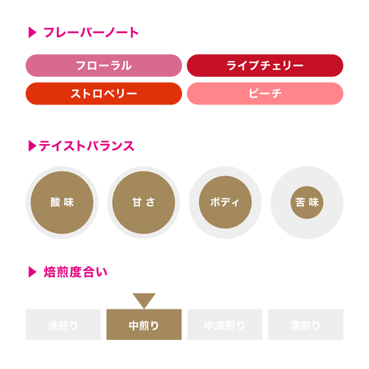 アーデント・シャンタ・ウェネ ナチュラル / エチオピア