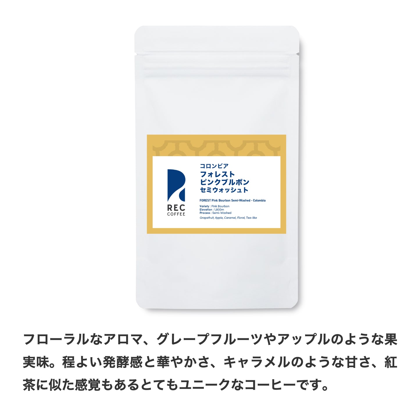 【送料無料】トライアルセット