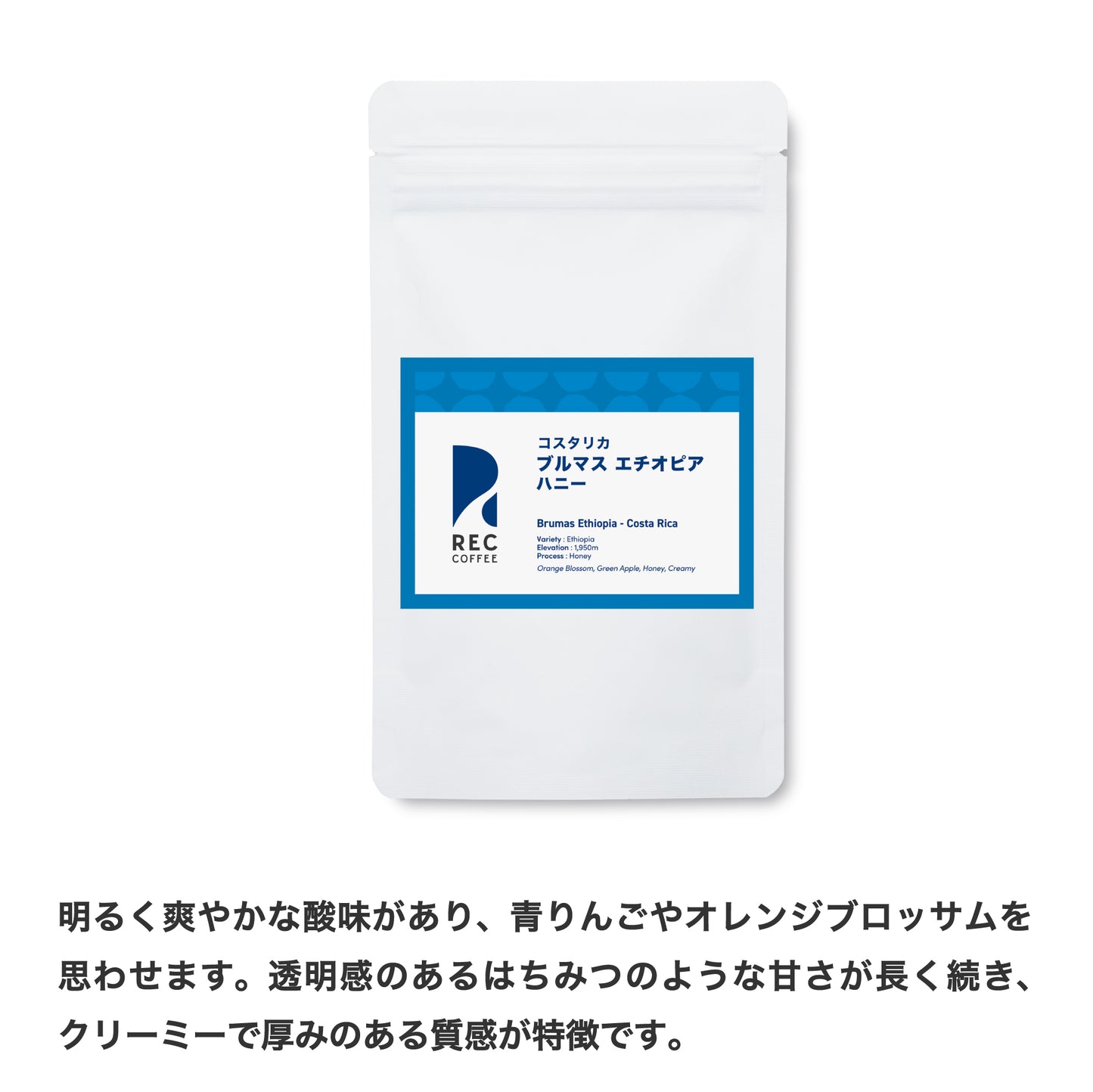 【送料無料】11月のバリスタセレクト