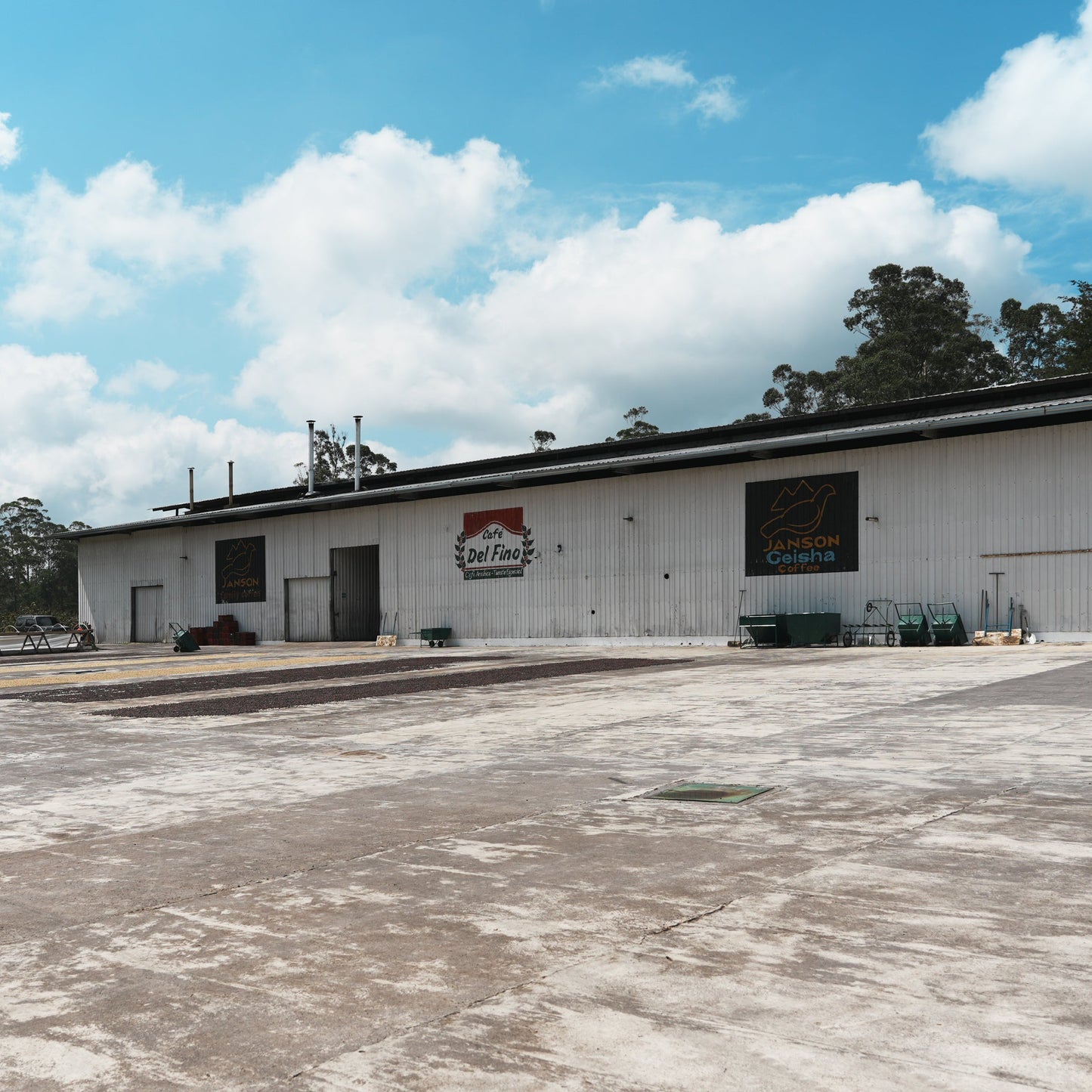 ジャンソン ロス・アルプス ゲイシャ ロット 417 ウォッシュト / パナマ