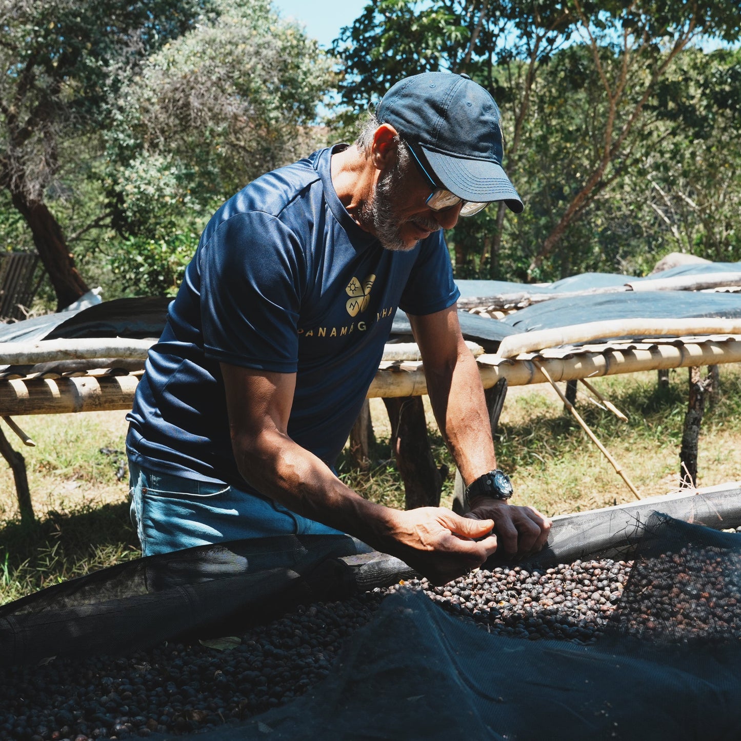 ラホネス ゲイシャ エンポリオ Lot 22A ナチュラル / パナマ