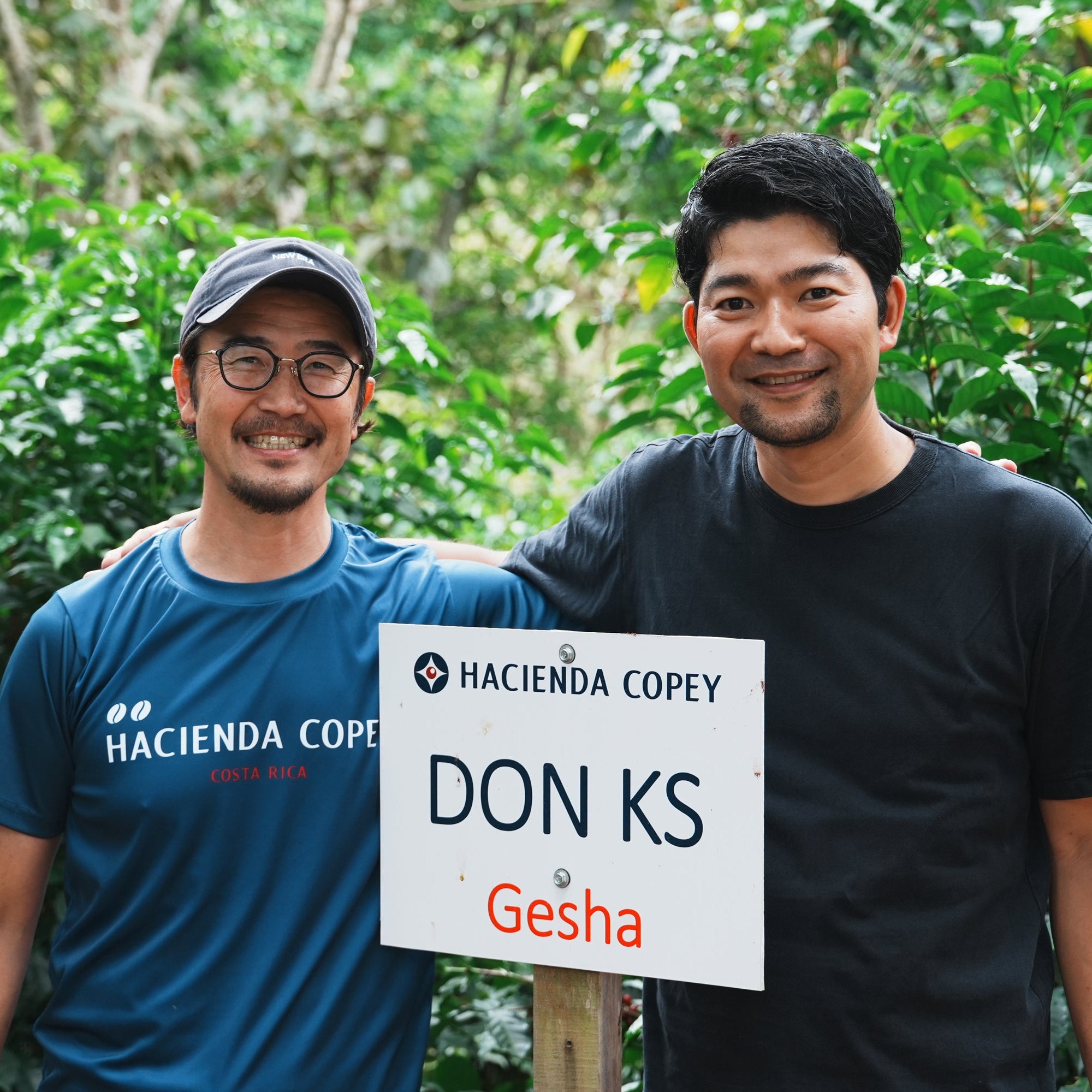 ハシエンダ・コペイ DON KS ゲイシャ ハニー COE 2024 #10
