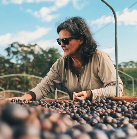 ファゼンダ・ガシャンブー ナチュラル / ブラジル | コーヒー豆 | REC