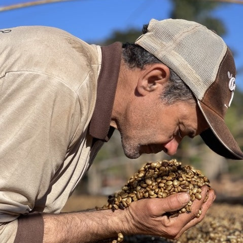 ファゼンダ・ガシャンブー ナチュラル / ブラジル