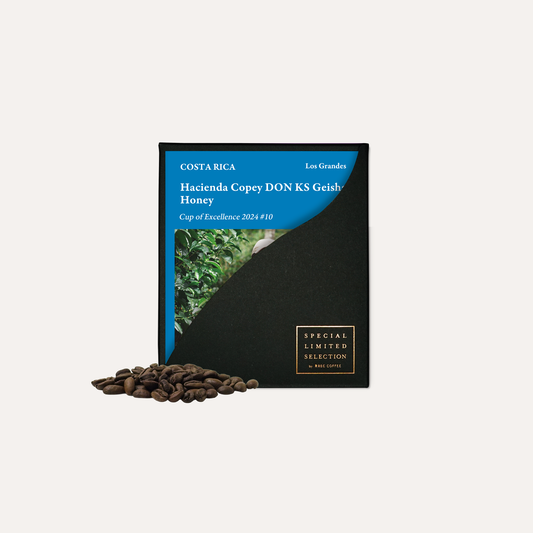 ハシエンダ・コペイ DON KS ゲイシャ ハニー COE 2024 #10 / コスタリカ