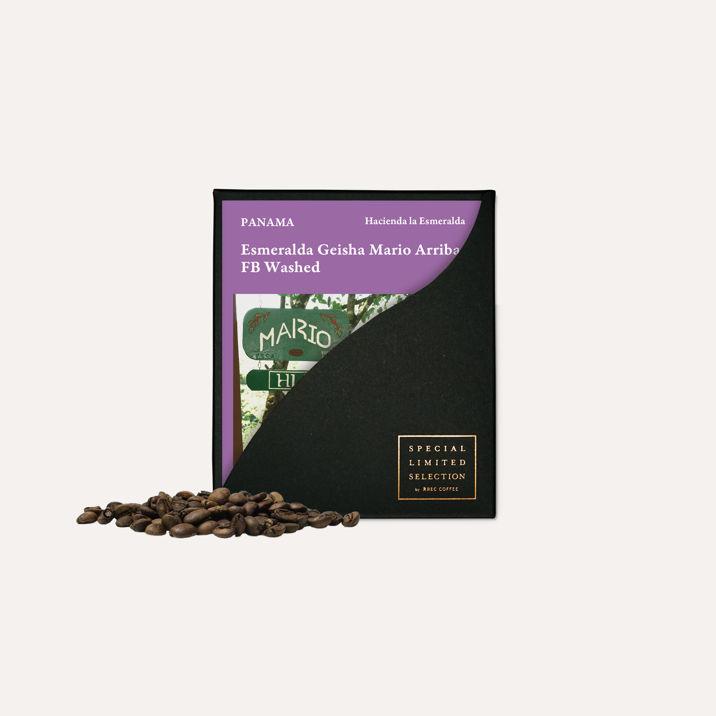 エスメラルダ ゲイシャ マリオ・アリバ FB ウォッシュト / パナマ