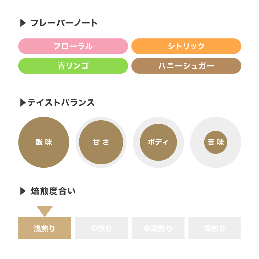 ハシエンダ・コペイ ゲイシャ イタダキ ウォッシュト COE#4  / コスタリカ