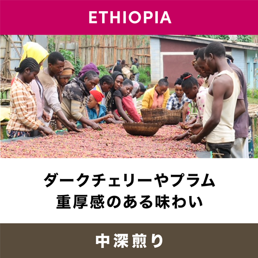 イルガチェフェ・ハフサ / エチオピア