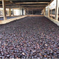 Lobre Pacas Honey / Honduras