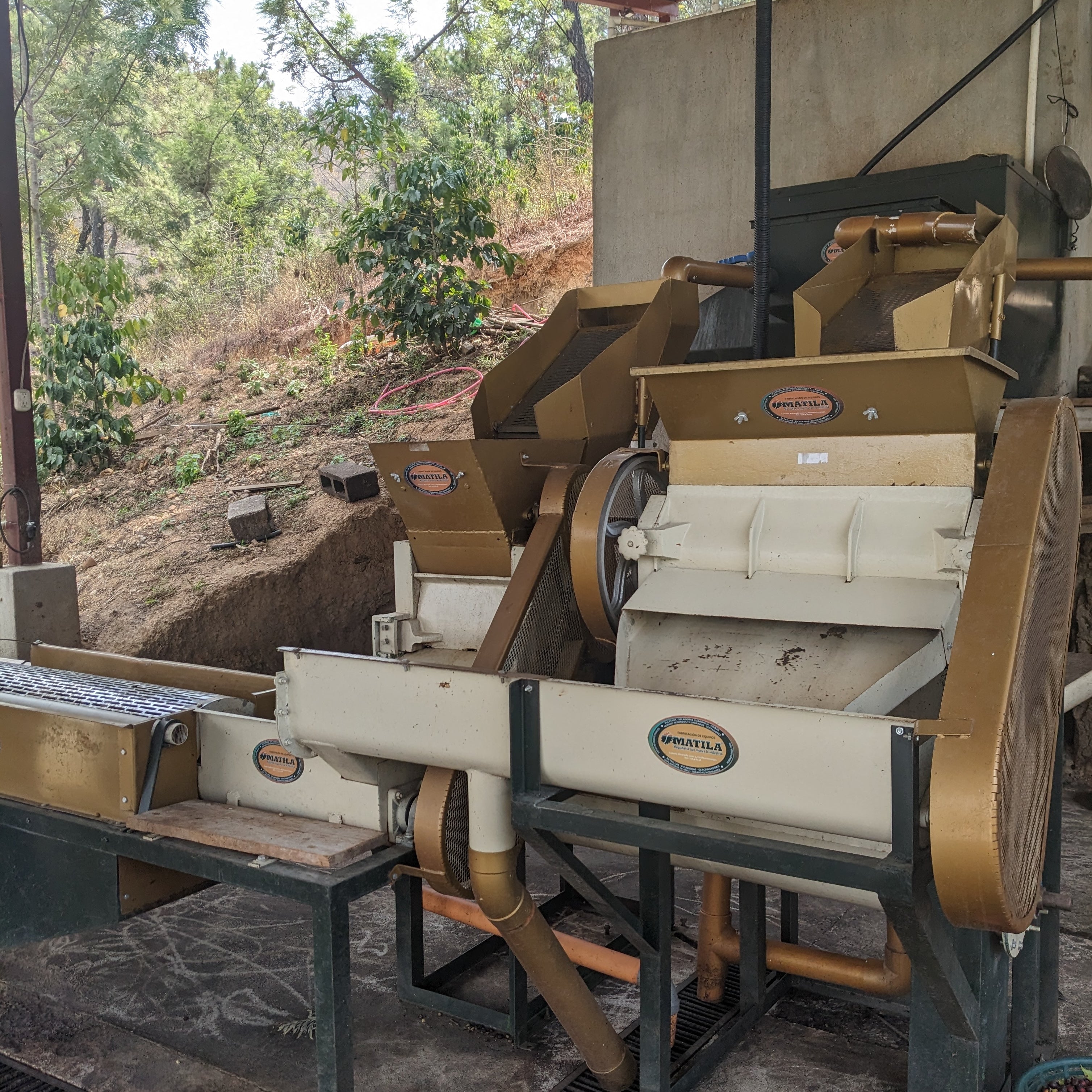 ロス・ススピロス ウォッシュト / グアテマラ | コーヒー豆 | REC COFFEE