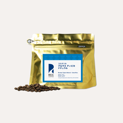 ブルマス ティピカ ナチュラル / コスタリカ