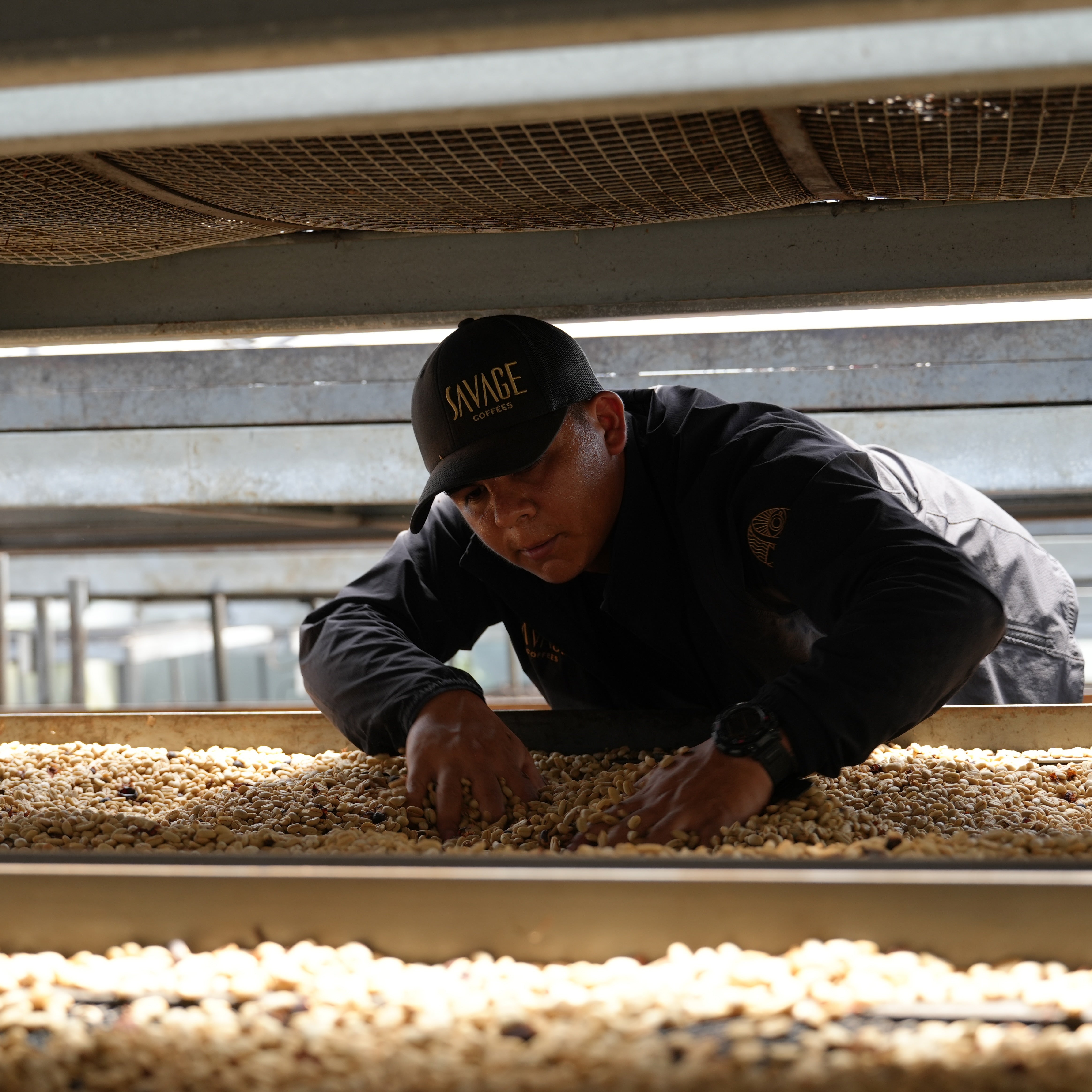 アイリス ゲイシャ エリプス ナイトロジェン マセレーション