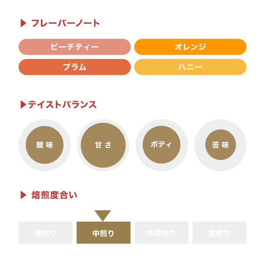 コーヒーバッグ  ニューイヤーブレンド