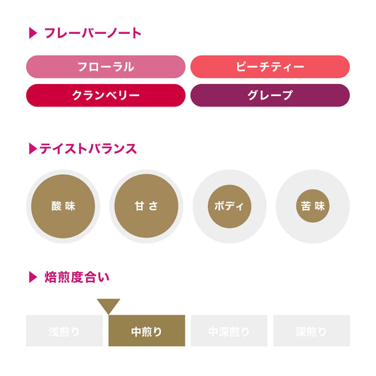 コーヒーバッグ アーデント シャンタ・ゴルバ コラボレーション / エチオピア