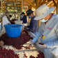 Los Grandes Red Catuai Black Honey / Costa Rica