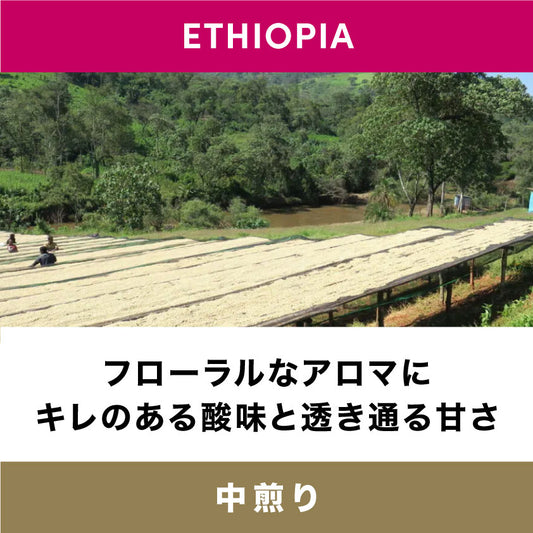 グジ・マシーナ / エチオピア