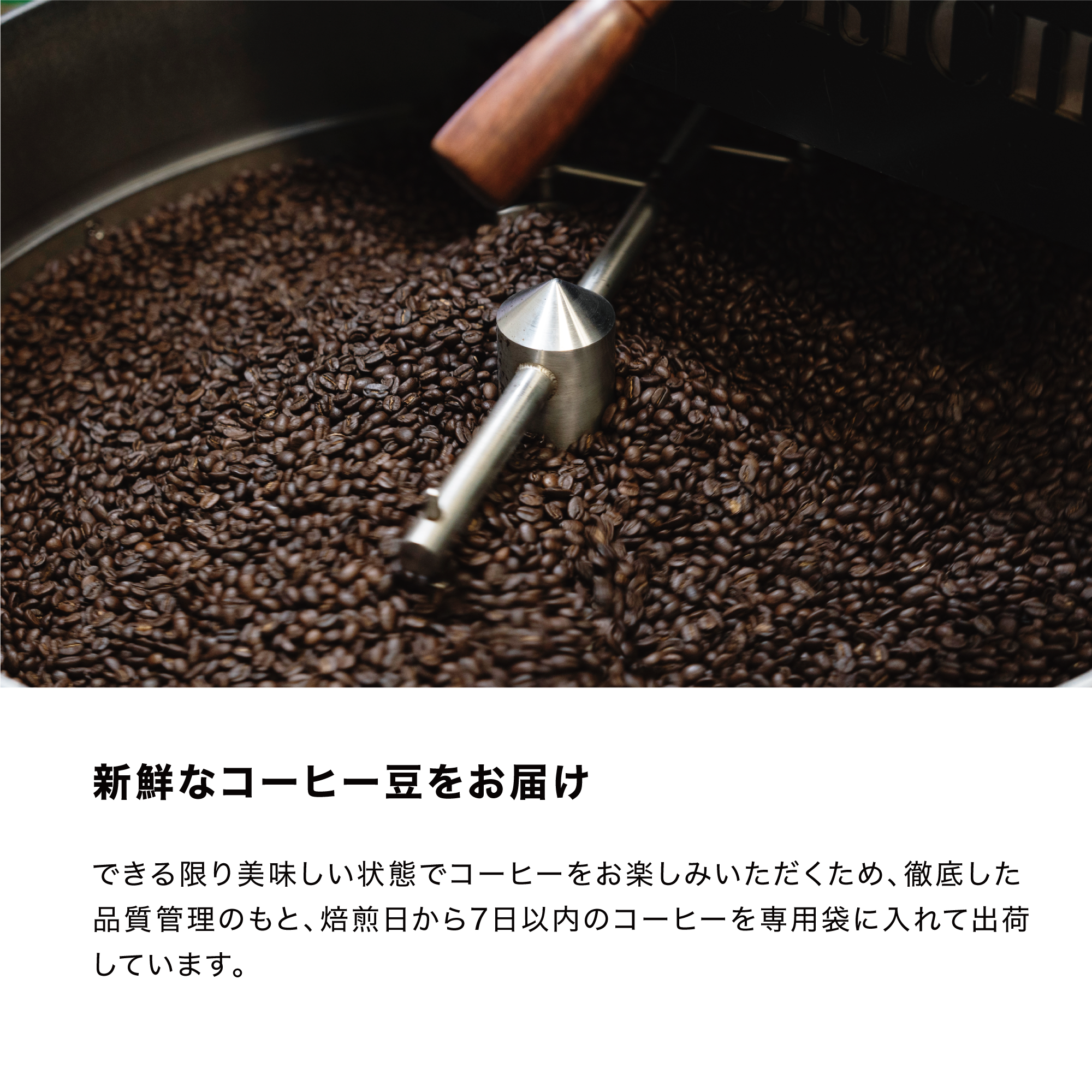 キッサブレンド コーヒー豆 REC COFFEE